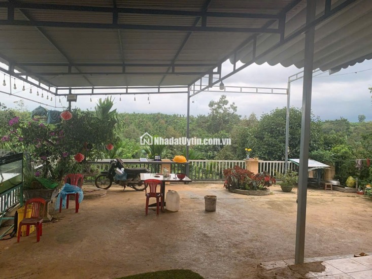 - Bán Lô Đất Nghỉ Dưỡng Đẹp Như Tranh Tại Lộc An – View Hồ – Có Sẵn Nhà, Vườn Trái Cây