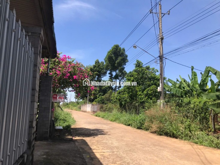 GIA KIỆM - ĐẤT GẦN TRUNG TÂM THUẬN TIỆN DI CHUYỂN