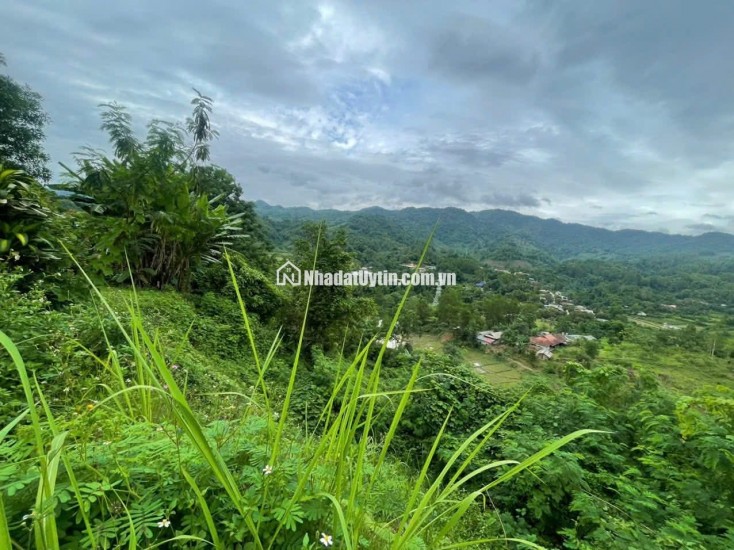Bán đất ở