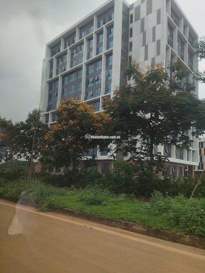BÁN LÔ ĐẤT VÀNG ĐÓN SÓNG ĐÔ THỊ VỆ TINH CHO QUÝ ĐẦU TƯ THÔNG THÁI