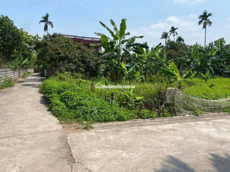 CHÍNH CHỦ CẦN CHUYỂN NHƯỢNG ĐẤT LÔ GÓC 620m²