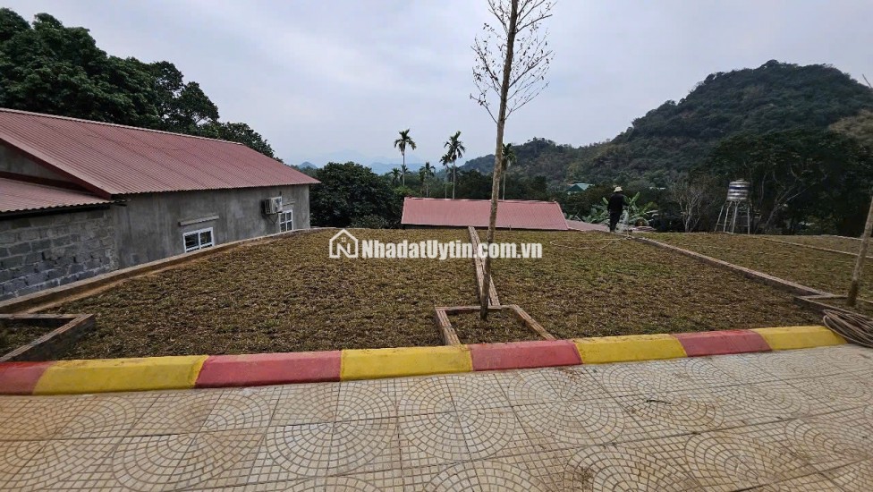  ĐẤT NỀN GẦN KCN THANH SƠN – CHỈ TỪ 3XX TRIỆU/NỀN