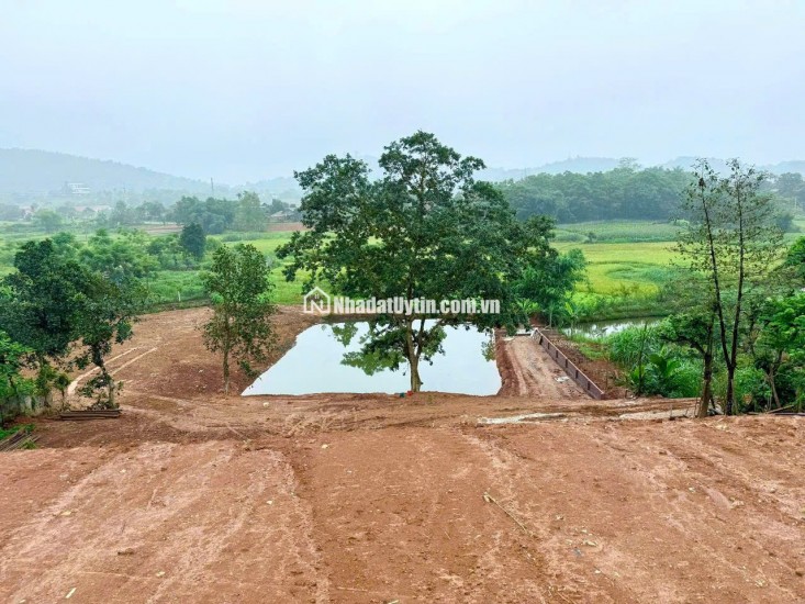 Chính chủ bán đất view đẹp nhất Thơn Dy - Minh Quang -Ba Vì