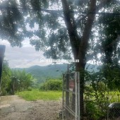 Nhà đất ở trung tâm thành phố Điện