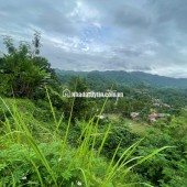 Bán đất ở