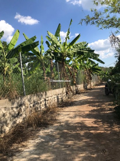 Bán đất có View đẹp ngay Thống Nhất - Dầu Giây tiềm năng phát triển cao