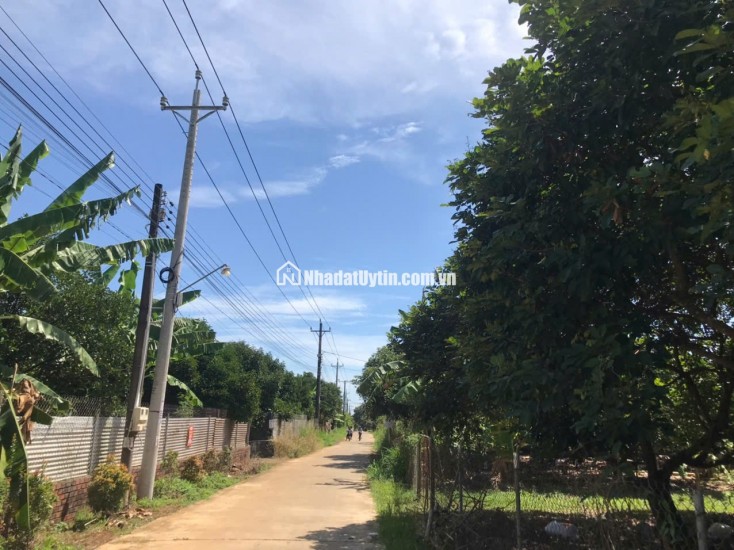Bán đất có View đẹp ngay Thống Nhất - Dầu Giây tiềm năng phát triển cao