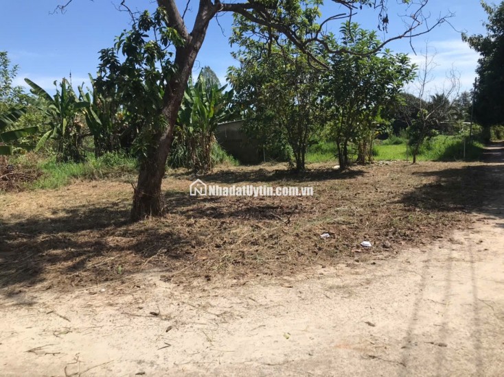 Bán đất mặt tiền đường nhựa Nguyễn Thế Toàn – Gia Kiệm, Thống Nhất, Đồng Nai – Diện tích 161m², giá chỉ 1 tỷ 2 trọn sổ