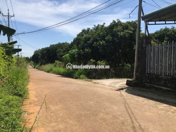 Bán đất mặt tiền đường nhựa Nguyễn Thế Toàn – Gia Kiệm, Thống Nhất, Đồng Nai – Diện tích 161m², giá chỉ 1 tỷ 2 trọn sổ