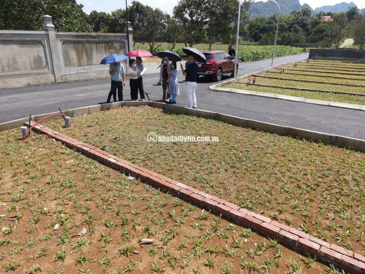  Cơ Hội Đón Sóng Đầu Tư – Đất Nền Giai Đoạn F0 – Sát KCN – Sổ Đỏ Sẵn!