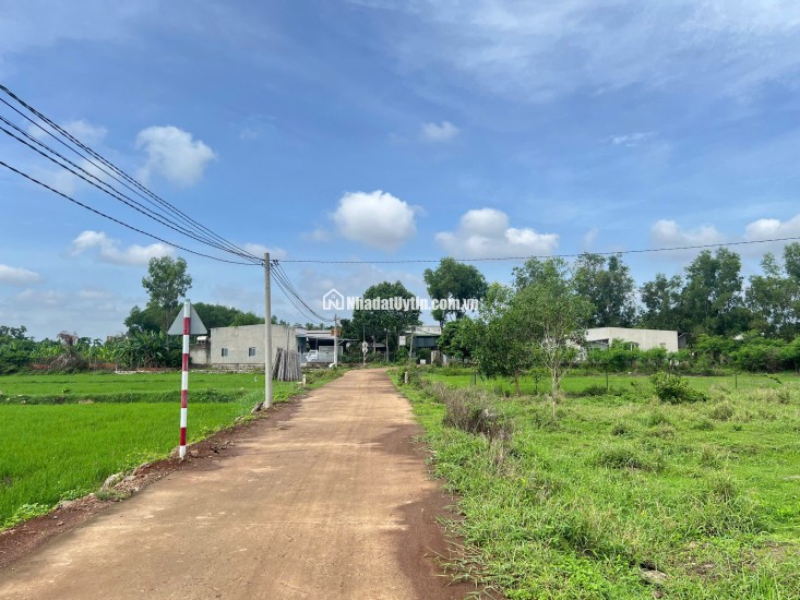 Chính chủ cần bán gấp lô đất vườn 3.700m², có nhà và thổ cư tại Đồng Nai