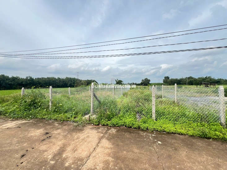 Chính chủ cần bán gấp lô đất vườn 3.700m², có nhà và thổ cư tại Đồng Nai