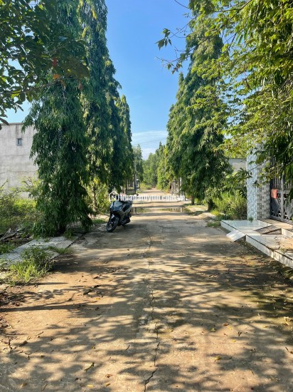  Lô đất đẹp xã An Viễn, Đồng Nai – sổ riêng – giá 850 triệu!