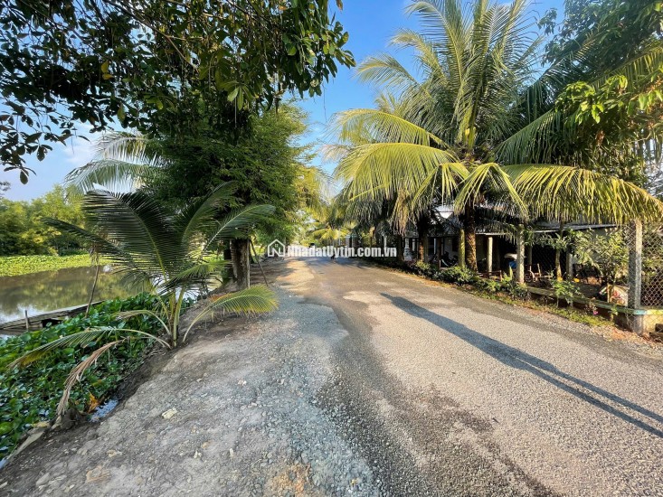 Bán Đất Chính Chủ 175m2 Giá 350 Triệu, Sổ Riêng