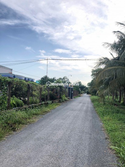 Bán Đất Chính Chủ 175m2 Giá 350 Triệu, Sổ Riêng