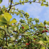 Bán đất có View đẹp ngay Thống Nhất - Dầu Giây tiềm năng phát triển cao