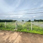 Chính chủ cần bán gấp lô đất vườn 3.700m², có nhà và thổ cư tại Đồng Nai