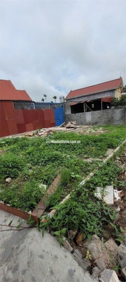 Bán đất Vũ Vị, xã Minh Tân, Hải Phòng