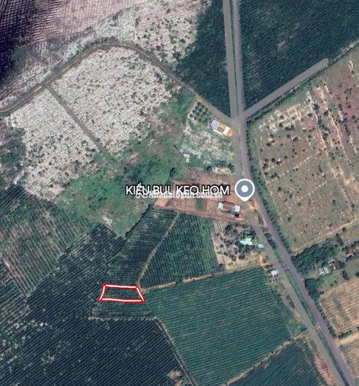 khả năng Đầu Tư Vàng: 1033m2 Đất Thổ Cư Quốc Lộ 55, Hàm Tân - Bình Thuận, Chỉ 1 Tỷ!