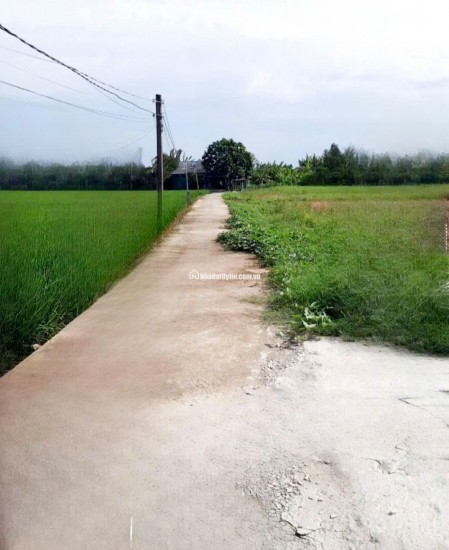  ĐẤT THỔ CƯ TÂN TRỤ-150m2 – XÂY DỰNG TỰ DO [299 TRIỆU] 