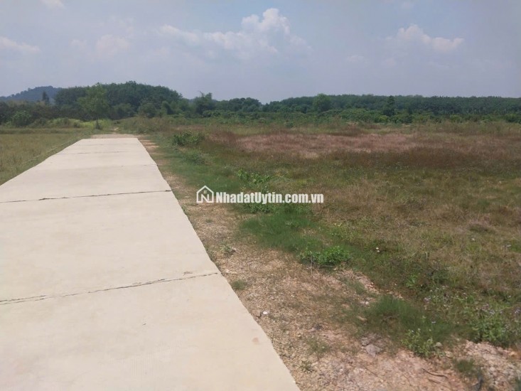 CHÍNH CHỦ BÁN ĐẤT CLN TẠI XÃ ĐẠ KHO, HUYỆN  ĐẠ TẺH, LÂM ĐỒNG