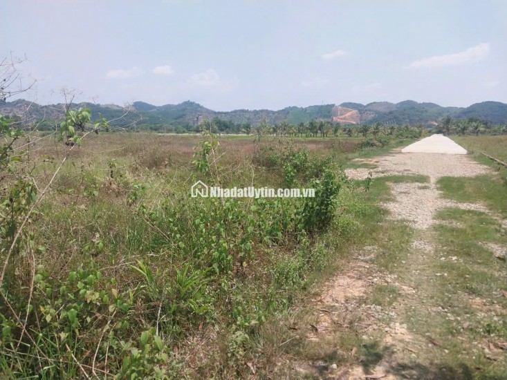 CHÍNH CHỦ BÁN ĐẤT CLN TẠI XÃ ĐẠ KHO, HUYỆN  ĐẠ TẺH, LÂM ĐỒNG
