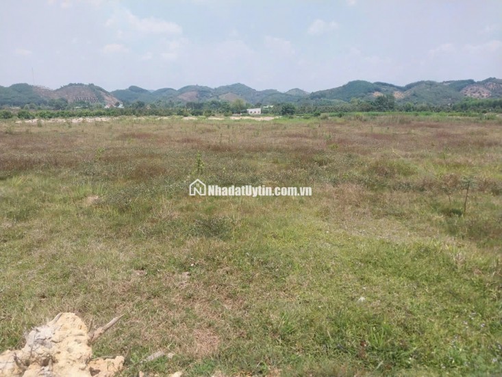 CHÍNH CHỦ BÁN ĐẤT CLN TẠI XÃ ĐẠ KHO, HUYỆN  ĐẠ TẺH, LÂM ĐỒNG