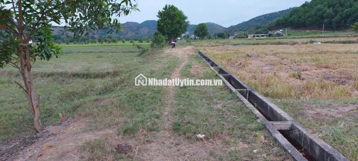 CHÍNH CHỦ BÁN ĐẤT CLN TẠI XÃ ĐẠ KHO, HUYỆN  ĐẠ TẺH, LÂM ĐỒNG