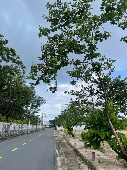 ĐẤT NỀN 144M² – ĐƯỜNG 12M – PHƯỜNG PHƯỚC HÒA, TX. PHÚ MỸ, BRVT