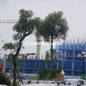 Chính chủ bán đất Cự Khê Thanh Oai, ngay khu đô thị Thanh Hà, 81m2. Giá 10 tỷ