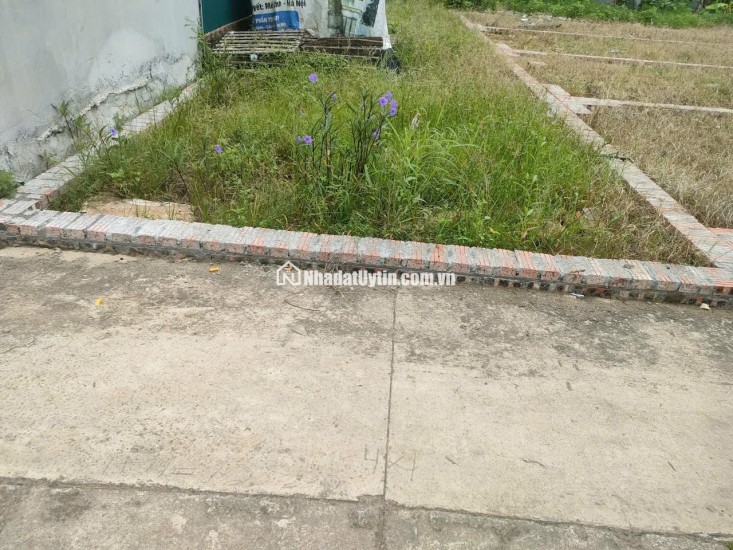 BÁN ĐẤT TỔ 9 (ẤP TRE), XÃ QUANG MINH, HN - NHÕ THÔNG BÀN CỜ, ÔTÔ VÀO ĐẤT, 100% THỔ CƯ, GIÁ ĐẦU TƯ (chỉ 5xtr/m)