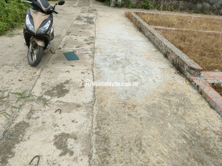 BÁN ĐẤT TỔ 9 (ẤP TRE), XÃ QUANG MINH, HN - NHÕ THÔNG BÀN CỜ, ÔTÔ VÀO ĐẤT, 100% THỔ CƯ, GIÁ ĐẦU TƯ (chỉ 5xtr/m)