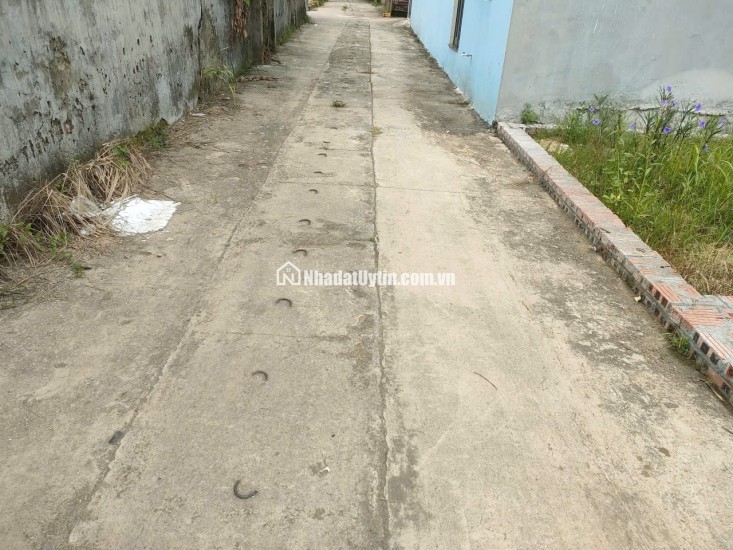 BÁN ĐẤT TỔ 9 (ẤP TRE), XÃ QUANG MINH, HN - NHÕ THÔNG BÀN CỜ, ÔTÔ VÀO ĐẤT, 100% THỔ CƯ, GIÁ ĐẦU TƯ (chỉ 5xtr/m)