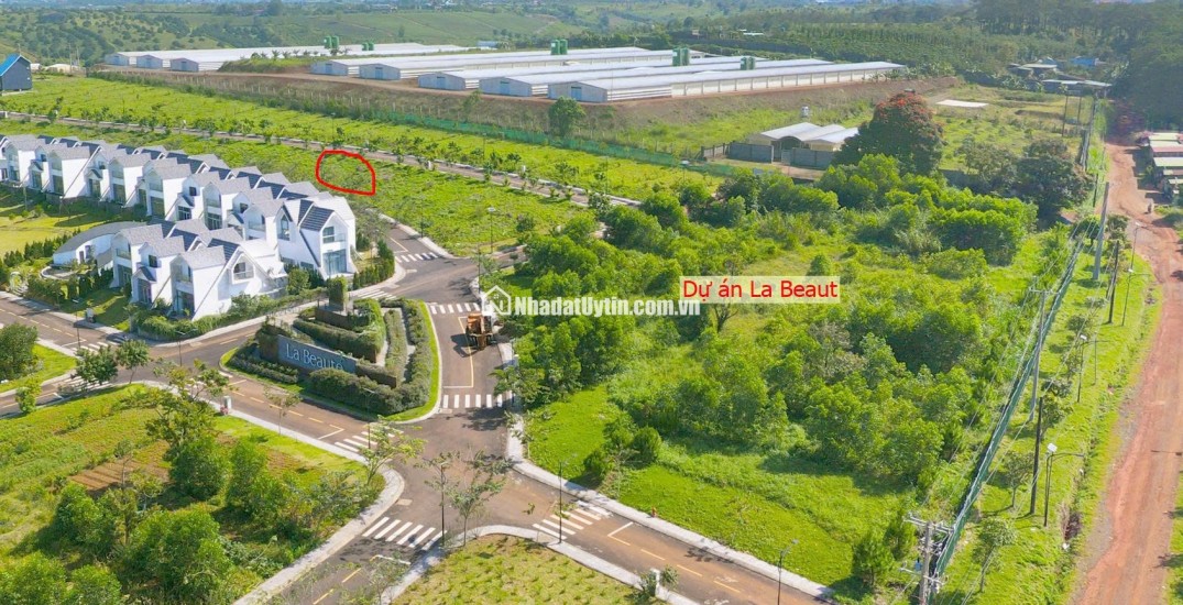 Siêu phẩm 3.414 m² đất đồi biệt thự mặt tiền Lý Thái Tổ (28m) – giá chỉ 15 triệu/m², gần cao tốc Dầu Giây – Liên Khương!