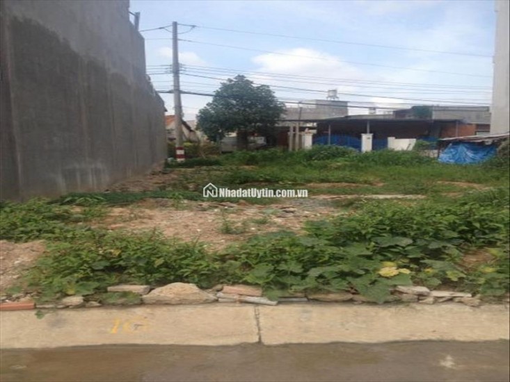 Bán đất thổ diện tích 8x16 nằm gần KCN Cầu Tràm giá 2.8 tỷ thương lượng