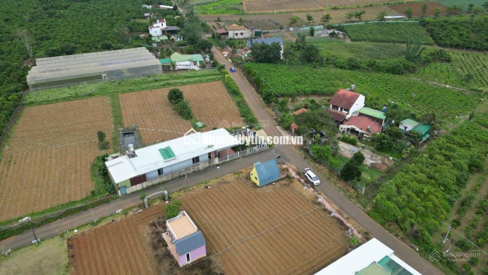 BÁN LÔ ĐẤT PHƯỜNG 2 BẢO LỘC GẦN NGÃ NĂM ĐAMBRI (NHÁNH  KHÚC THỪA DỤ)