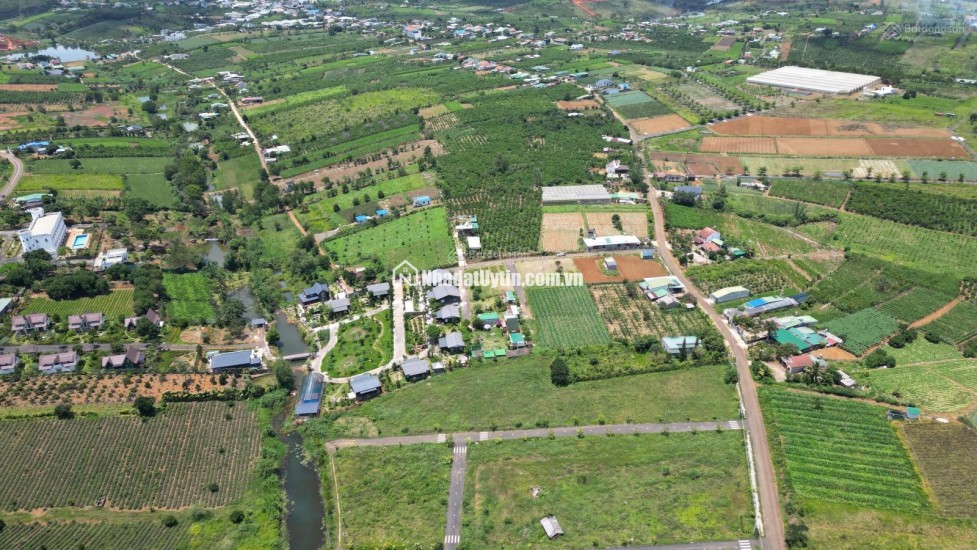 BÁN LÔ ĐẤT PHƯỜNG 2 BẢO LỘC GẦN NGÃ NĂM ĐAMBRI (NHÁNH  KHÚC THỪA DỤ)