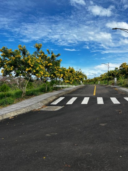 Đất nền biệt thự đồi Bảo Lộc 166,2m² – vị trí chiến lược, giá tốt hiếm có 9.3 triệu/m², sinh lời dài hạn