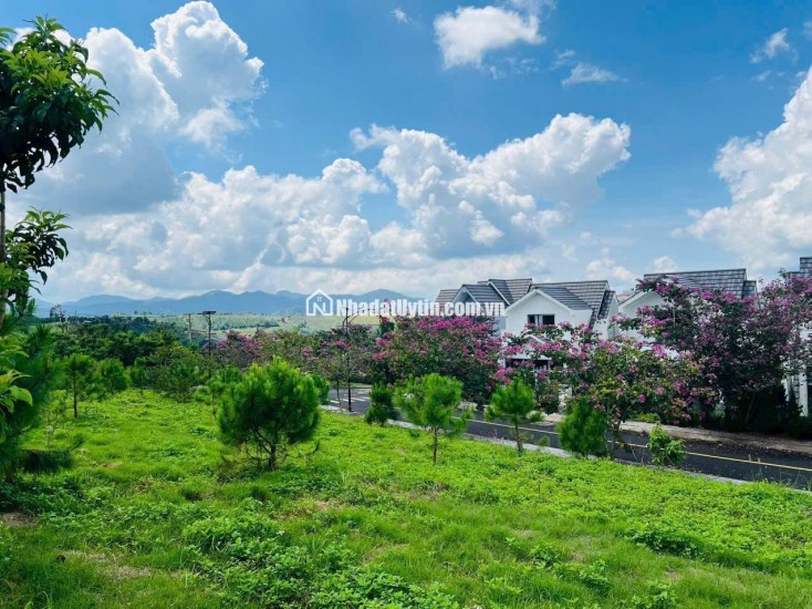 Đất nền biệt thự đồi Bảo Lộc 166,2m² – vị trí chiến lược, giá tốt hiếm có 9.3 triệu/m², sinh lời dài hạn