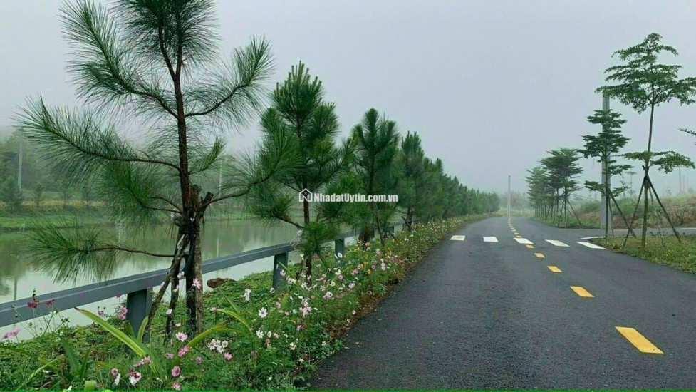 BÁN ĐẤT NẰM TRONG KHU NGHỈ DƯỠNG GẦN HỒ TÂM CHÂU CÓ HỒ ĐIỀU HOÀ RỘNG 5500M2