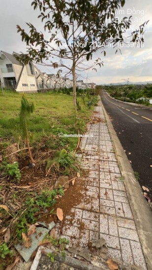 Siêu phẩm 3.414 m² đất đồi biệt thự mặt tiền Lý Thái Tổ (28m) – giá chỉ 15 triệu/m², gần cao tốc Dầu Giây – Liên Khương!