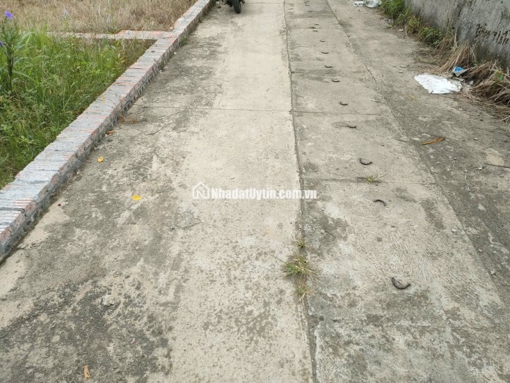 BÁN ĐẤT TỔ 9 (ẤP TRE), XÃ QUANG MINH, HN - NHÕ THÔNG BÀN CỜ, ÔTÔ VÀO ĐẤT, 100% THỔ CƯ, GIÁ ĐẦU TƯ (chỉ 5xtr/m)