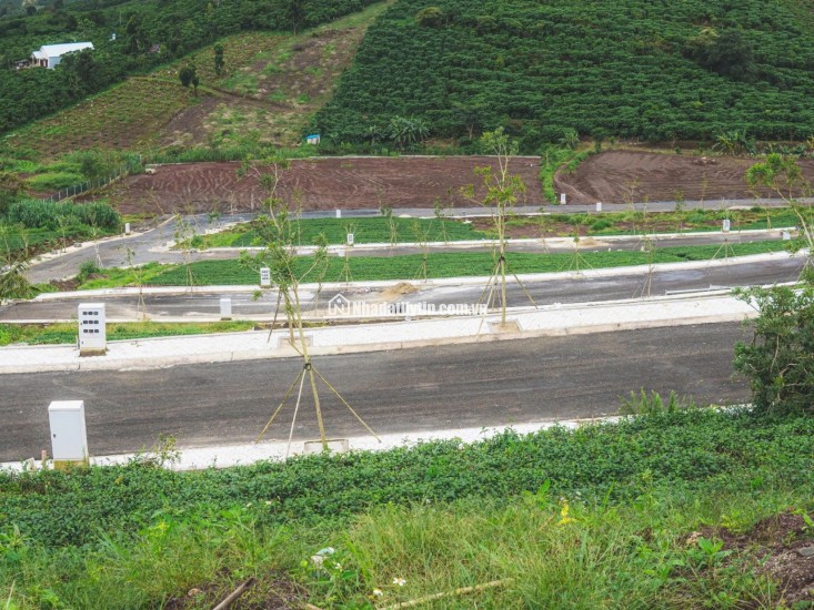  ĐẤT NỀN TRUNG TÂM BẢO LỘC – FULL THỔ CƯ, HẠ TẦNG ĐIỆN ÂM – VỊ TRÍ TIỀM NĂNG SINH LỜI CAO 