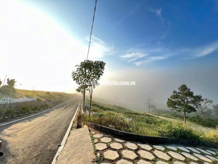 [HOT] Duy nhất còn 1 lô tại NaLi Chill - Homestay and BBQ giá bán chỉ 850TR