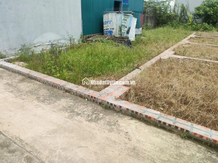 BÁN ĐẤT TỔ 9 (ẤP TRE), XÃ QUANG MINH, HN - NHÕ THÔNG BÀN CỜ, ÔTÔ VÀO ĐẤT, 100% THỔ CƯ, GIÁ ĐẦU TƯ (chỉ 5xtr/m)