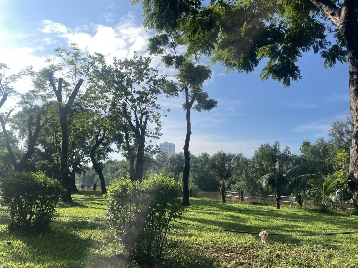 BÁN NHÀ MẶT TIỀN VIEW SÔNG KDC TÂN PHONG QUẬN 7 – SIÊU PHẨM KINH DOANH, 5 TẦNG ĐÚC BTCT