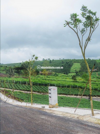  ĐẤT NỀN TRUNG TÂM BẢO LỘC – FULL THỔ CƯ, HẠ TẦNG ĐIỆN ÂM – VỊ TRÍ TIỀM NĂNG SINH LỜI CAO 