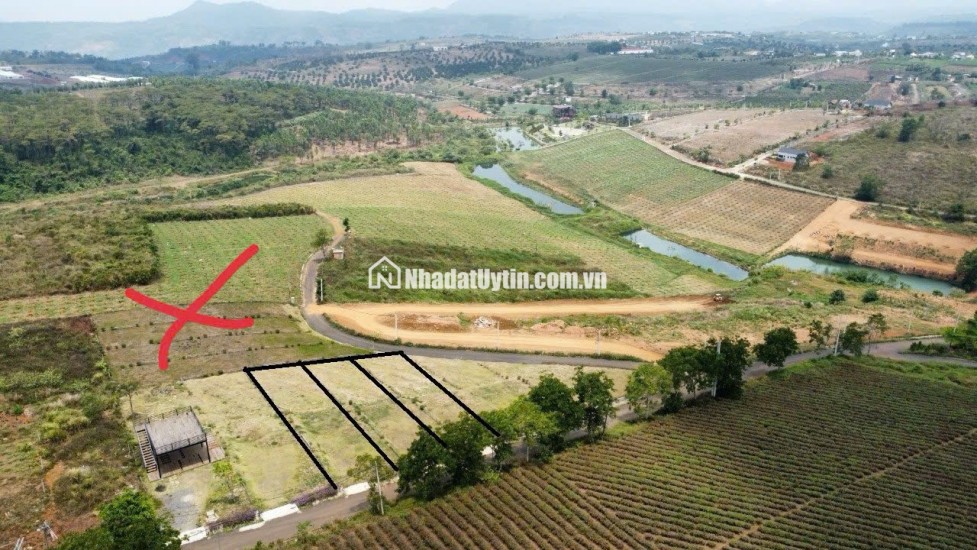 Đất nền nghỉ dưỡng gần Đồi Chè Tâm Châu – Bảo Lộc – giá tốt nhất khu vực chỉ 6  triệu/m²