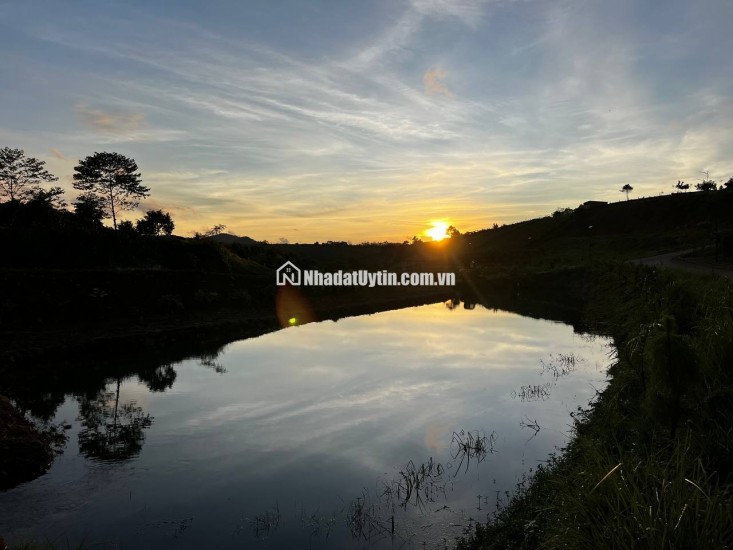 Siêu phẩm 3.414 m² đất đồi biệt thự mặt tiền Lý Thái Tổ (28m) – giá chỉ 15 triệu/m², gần cao tốc Dầu Giây – Liên Khương!