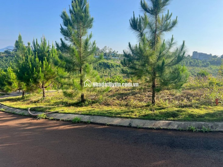 Tuyệt tác giữa đại ngàn B’LAO – Cơ hội duy nhất sở hữu đất view đồi đẹp tại đường Lý Thái Tổ 28m – TP. Bảo Lộc